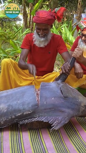 147 Pounds Giant Pakhi Fish Cutting By Grandpa #villagegrandpascooking #fishcutting #bigfish #giantfish | Youtube Village