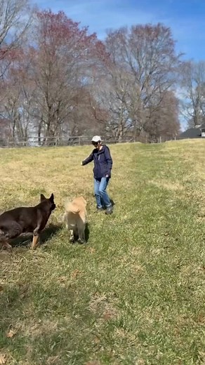 The missing piece that adoptive parents have been desperately...