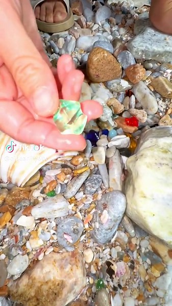 Ohhhh Yellow Frog: Nature's Colorful Amphibian