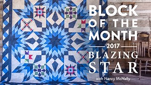 Block of the Month 2017: Blazing Star