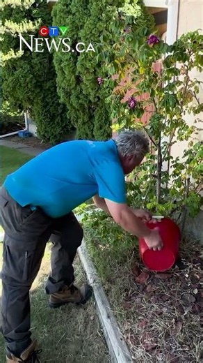 More Vancouver water restrictions may be coming