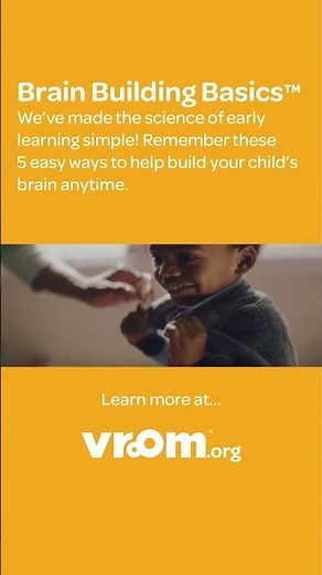The Five Brain Building Basics
