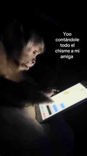 😛. #foryou #chats #tapaderas | yo contandole todo a mi amigo