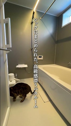 【新築そっくりさん ルームツアー】築99年の古民家。木の温もりと大きな窓の開放感で、猫ものびのび暮らせる住まいへ。 #shorts #新築そっくりさん #ビフォーアフター #リフォーム