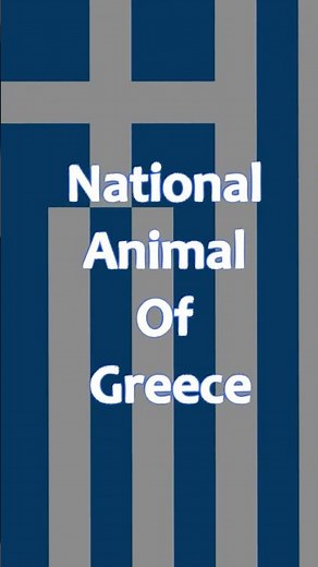 National Animal of Greece 🇬🇷🐬 | Why Dolphins Represent Greek Culture #shorts #animalfacts #greece