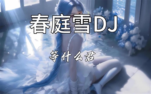【无损音质】《春庭雪DJ》- 等什么君 | 这一世 太漫长却止步咫尺天涯见