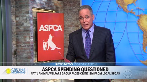 National animal welfare nonprofit ASPCA faces spending criticism