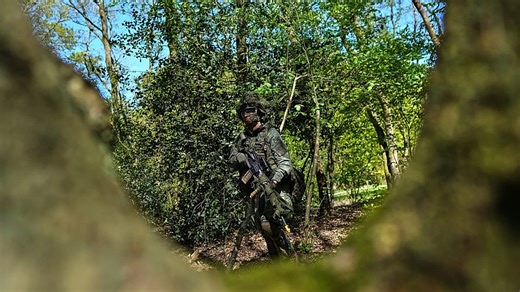 "Amalia-Effekt": Royals lösen Ansturm auf Armee der Niederlande aus
