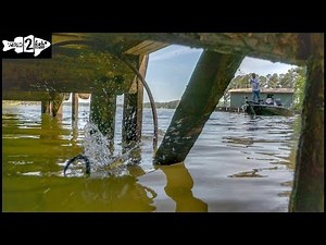 How to Make Flawless Skip Casts with Spinning Gear