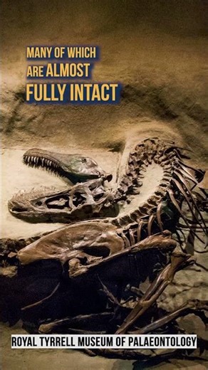 Did you know? - Drumheller!