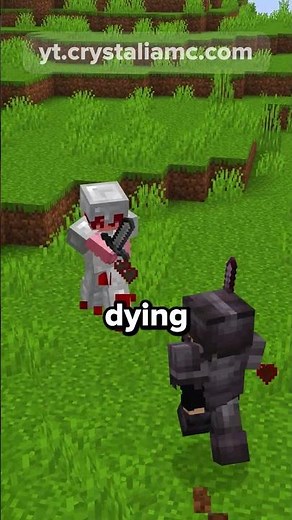 This Minecraft server is PEAK! #minecraft #minecraftserver #smp