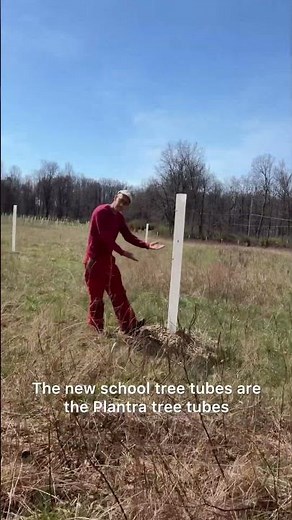 Old School Tree Tubes 👎