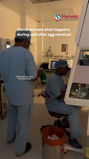 This Is What Happens To Your Eggs After Retrieval: IVF Reality! | Mamata Fertility Hospital