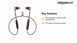 Momentum Free Special Edition