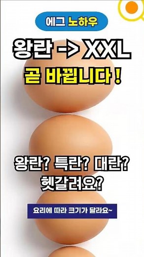 🚨 계란 이름 다 바뀝니다! 왕란→XXL 21년만의 달걀 대변화 #계란삶는법 #특란 #달걀크기