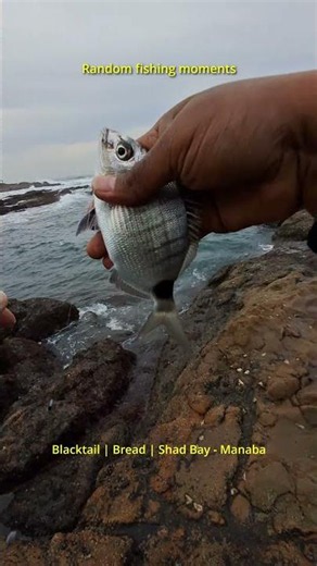 Random fishing moments #kzn