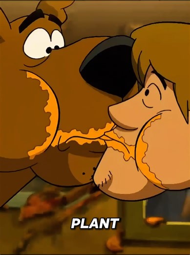 #scooby #scoobydoo #geek #cartoons | Scooby Doo