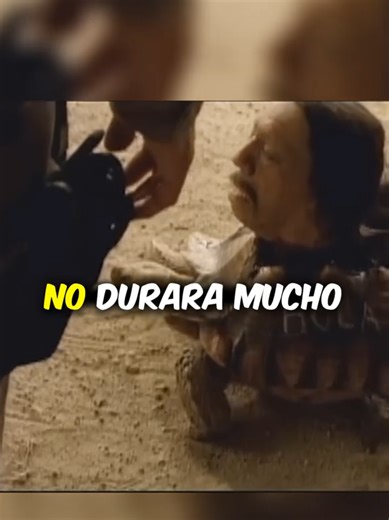 Tortuga va lento pero llega... #viral