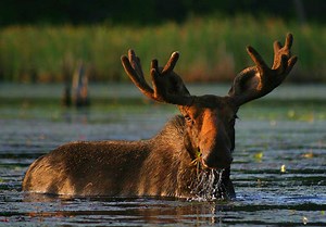 Guided Hailstorm Creek Adventure - Algonquin Outfitters