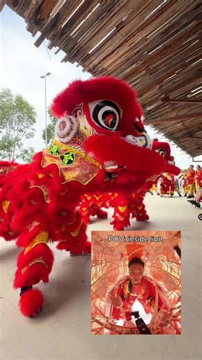 Experience the Lion Dance: A Cultural Journey