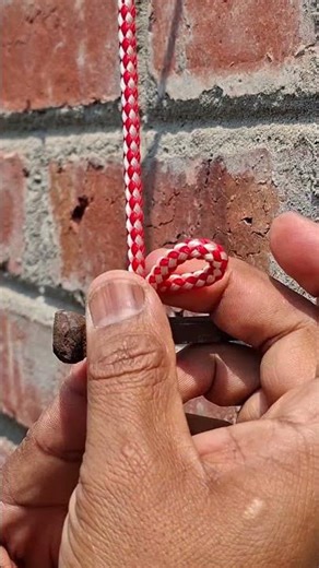 Amazing knottying skills