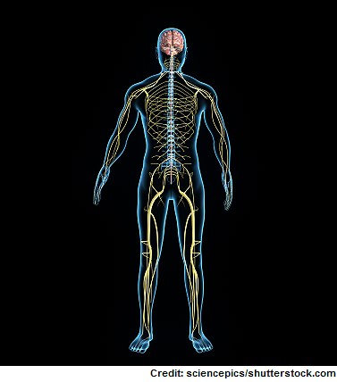 Guillain-Barré Syndrome NCLEX Questions