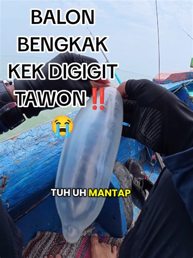 Mancing Barramundi: Teknik dan Pengalaman Memancing