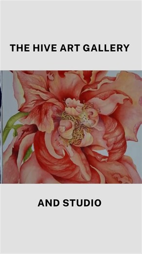 ✨ Meet artist Kaylene Cooper ✨ From sketching horses & fairies in Grafton…to 50 years drafting survey plans…to rediscovering art on the Gold Coast. A workshop with the incredible Heidi Willis sparked her love of watercolour — and she’s never stopped painting. Now retired, she paints full-time and is active in local art groups. 🌿💧 #thehiveartgallery #thehiveartgallery #inspiredbynature | The HIVE Art Gallery