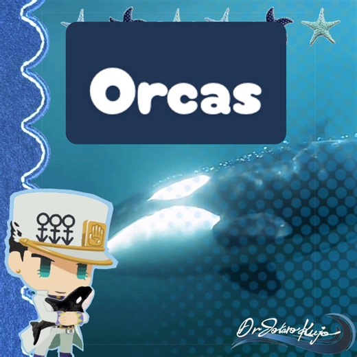The largest orca recorded was 9.8 m. (32 ft.) #jotaro #jotarokujo #jjba #rant #marinebiology