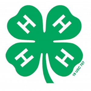 State 4-H Model Horse Show winners announced
