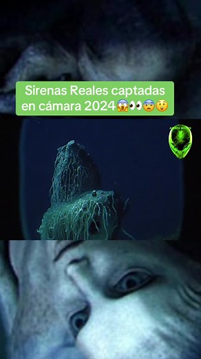 #seacreatures #deepsea #deepseafishing #alienbolo #creepy #ocean #siren #foundfootage #shapeshifter #sirena #fy #2024