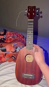 My instrument collection!!! #musicology #musicalinstrument #guitar #bassfeatured #drumnotation