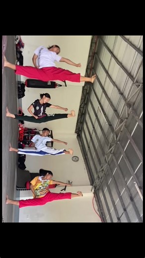 Taekwondo Sidekicks: Skills and Highlights