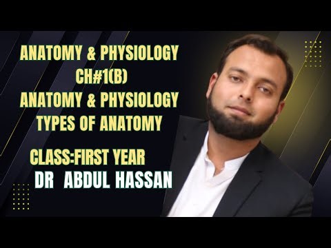 Types of Anatomy: Structural Branches, Study Levels, Human Body Classification Overview