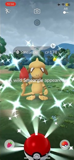 ✨Shiny Smeargle Encounter!🎨Rarest Shiny Pokémon | #PokemonGO #ShinySmeargle #Shiny #pokemongoshorts