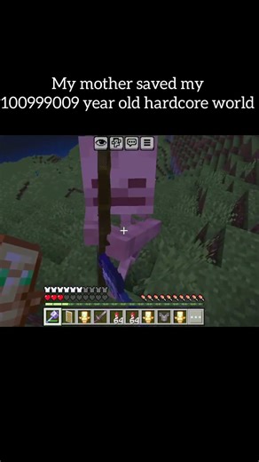 Indian Mother 🫡#shorts#minecraft