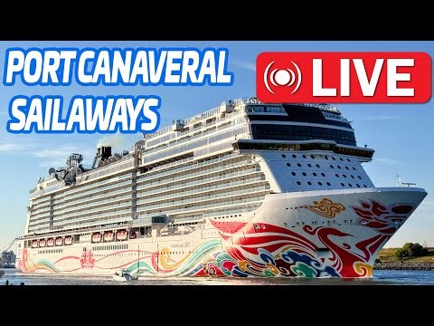 🔴 Live: 6 Ship Saturday In Port Canaveral! | 11.29.25