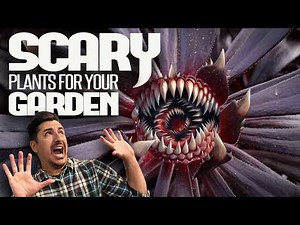 5 SPOOKY Plants to Make Your Garden HAUNTINGLY Beautiful