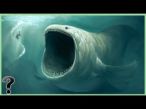 What Is At The Bottom Of The Mariana Trench?