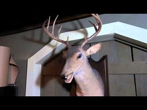Gemmy Talking & Singing "Buck" Mounted Deer Head
