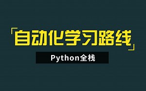 Python自动化测试，从青铜到王者成长进阶之路，Selenium Appium Web自动化测试教程