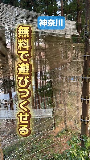 山北つぶらの公園の完全無料アスレチック体験