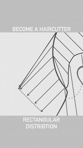 BECOME A HAIRCUTTER Online Education Graduated Shape Rectangular Distribution You want to become a real haircutter? With my new, revised online program BECOME A HAIRCUTTER it’s now easy and fast!https://www.udemy.com/course/become-a-haircutter-unit-1-3/learn/lecture/31093788#contentIn just 13 units we work together on all the important basics to become a real cutting pro. Each unit builds on the previous one, creating a simple system to expand your skills and knowledge piece by piece. My program