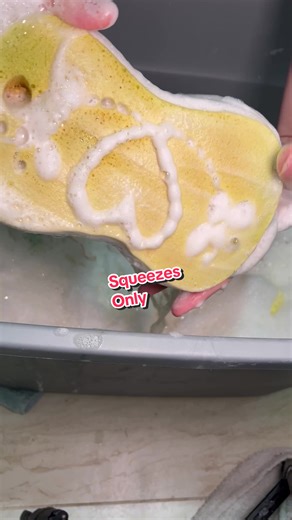 Amazing Sponge Squeezes Compilation