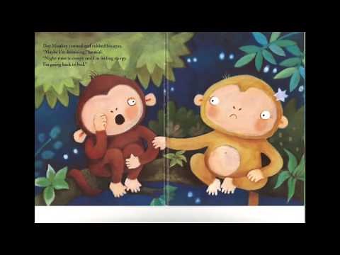 Night Monkey, Day Monkey