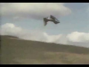 Peregrine Falcon Kills Teal Duck