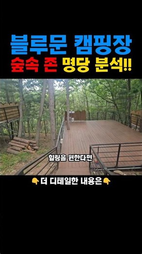 The Best Forest Deck Sites.. You MUST Book 'These' Spots for Convenience!!! Gapyeong Blue Moon Ca...