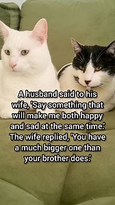 Sad and happy 🤣😂🤣 | Moomoo Cat