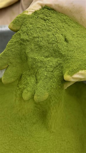 The Facts Hub on Instagram: "Moringa Powder: India's Next Big Export Sensation! #shorts #plants #farming #india #nature #instagram #reels"