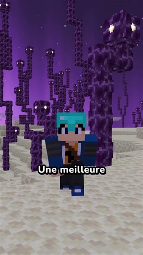 Comment obtenir l'Elytra beaucoup plus facilement.